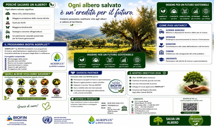 blog-image