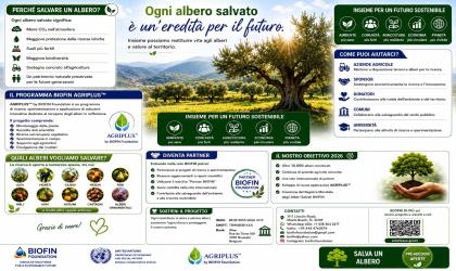 blog-image