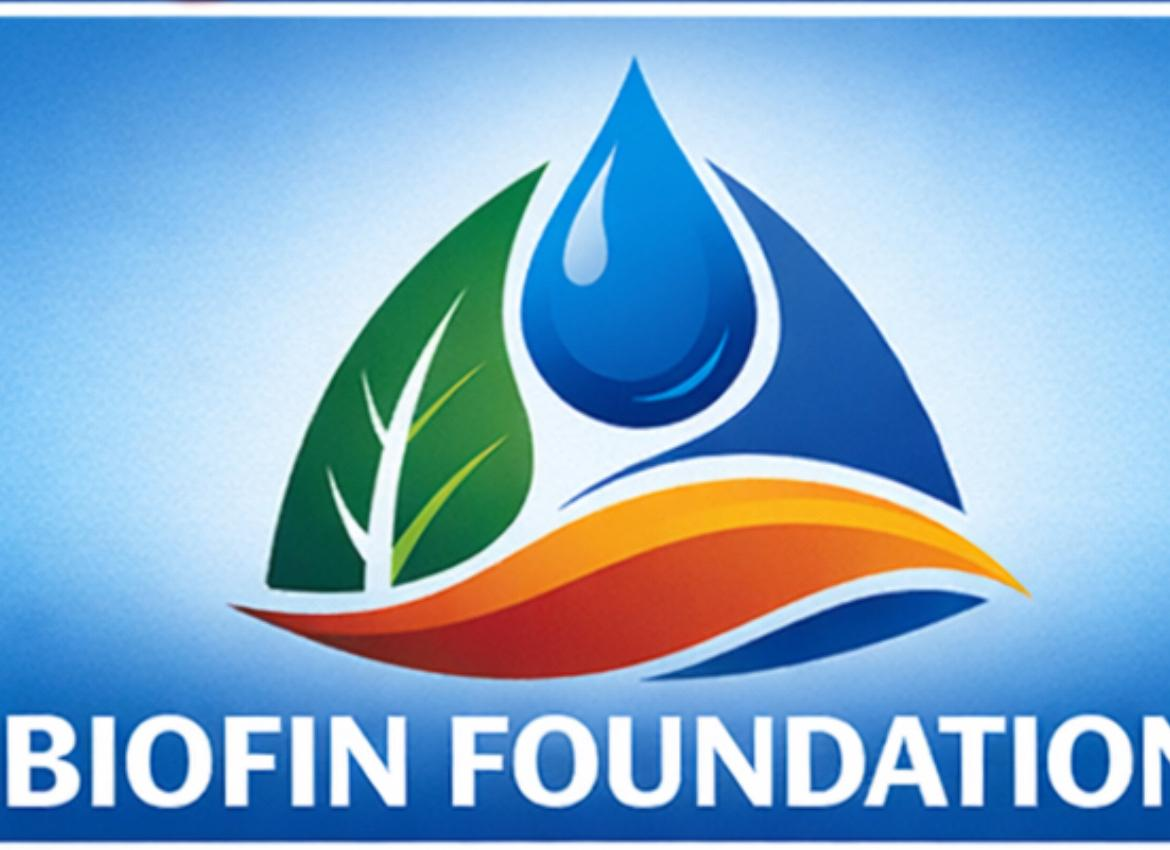 logo-image